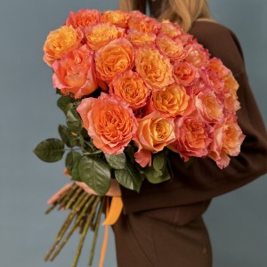 31 оранжево-розовая роза Фри Спирит 60 см 31 оранжево-розовая роза Фри Спирит 60 см