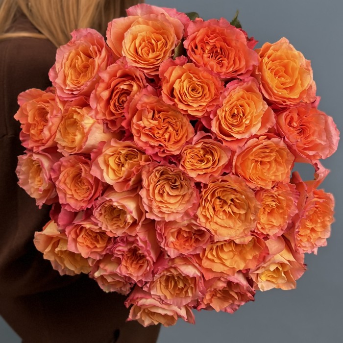 31 оранжево-розовая роза Фри Спирит 60 см