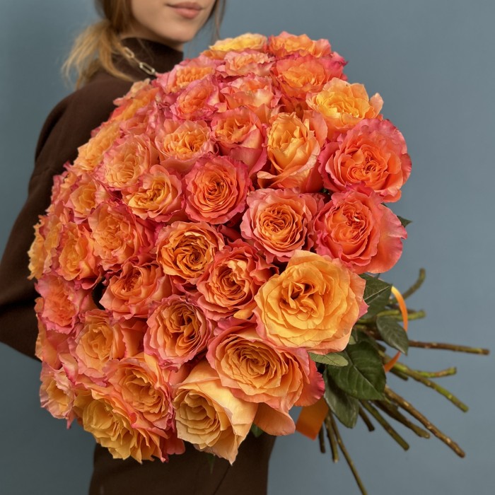 41 роза Фри Спирит 50 см