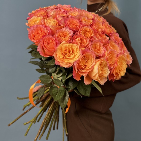 41 роза Фри Спирит 60 см