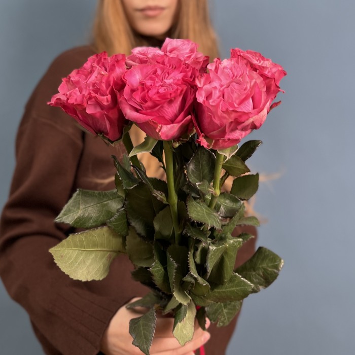 5 пионовидных сиреневых роз Кантри блюз 60 см