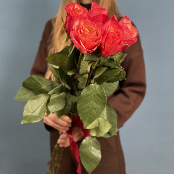 5 ярких красно-желтых роз Боргат 60 см