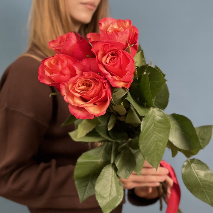 5 ярких розы Боргат 70см