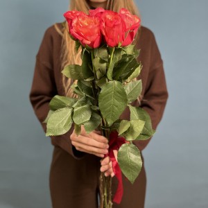 5 ярких розы Боргат 70см