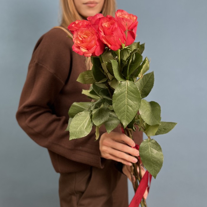 5 ярких розы Боргат 70см