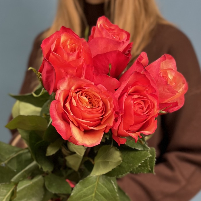 5 ярких розы Боргат 70см