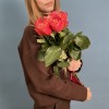 7 ярких роз Боргат 60см