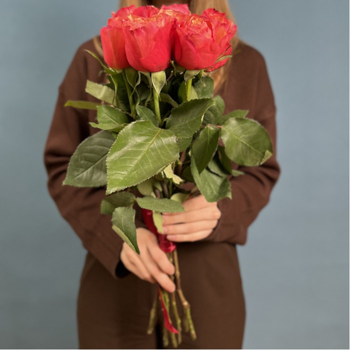 7 ярких роз Боргат 60см