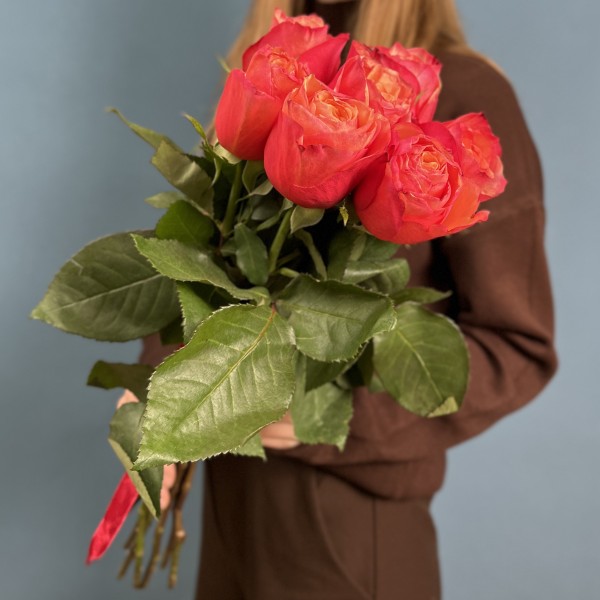 7 ярких роз Боргат 60см