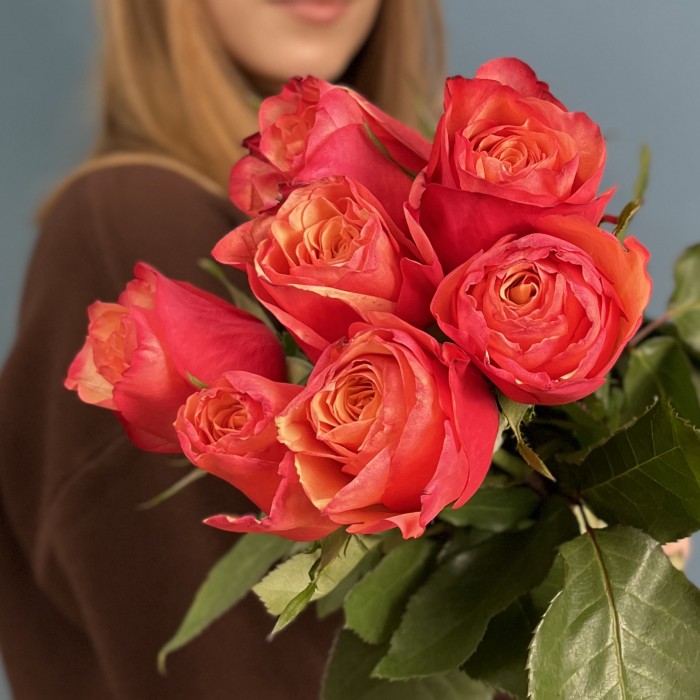 7 ярких роз Боргат 60см