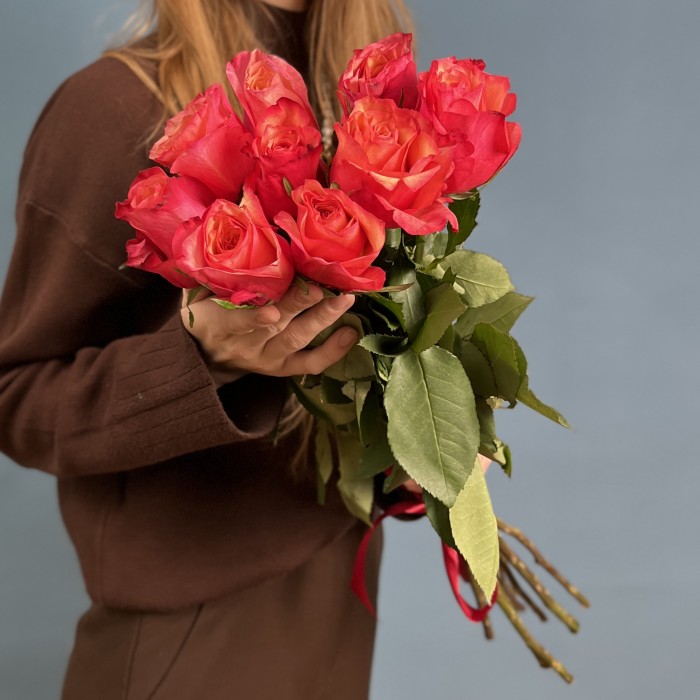 9 ярких роз Боргат 70 см