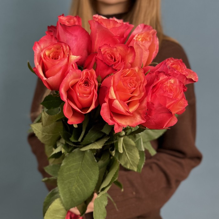 9 ярких роз Боргат 70 см