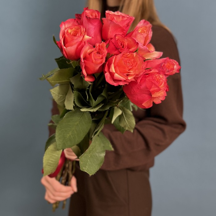 9 ярких роз Боргат 70 см