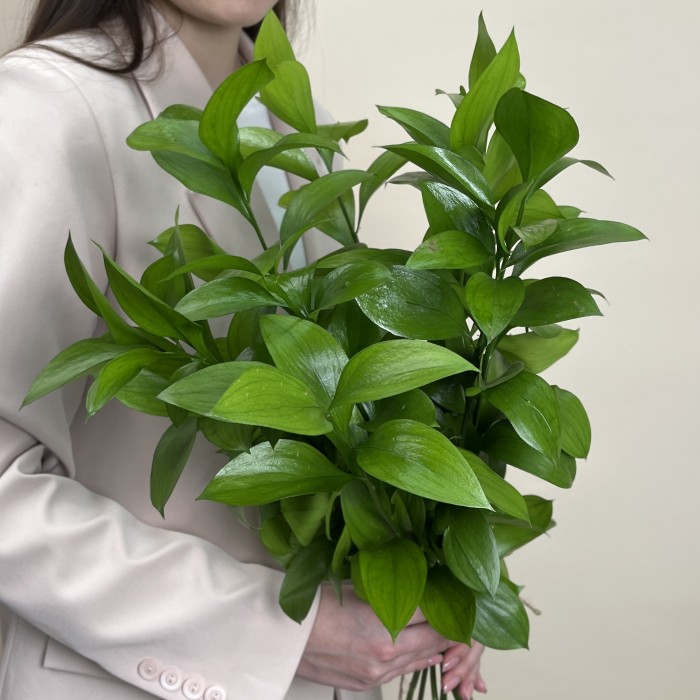 Зелень Рускус