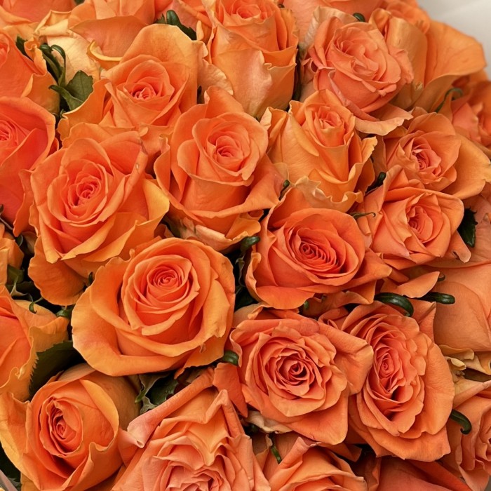 41 оранжевая роза Тропикал Амазон