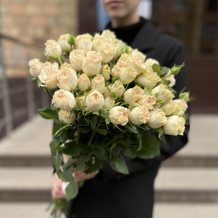 11 кустовых пионовидных роз Саммер- роз 50 см