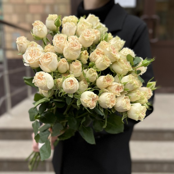 11 кустовых пионовидных роз Саммер-роз 60 см