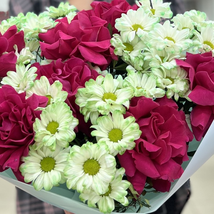 7 малиновых роз Пинк Флойд с хризантемой