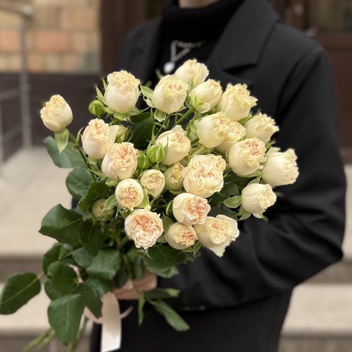 5 Кустовых пионовидных роз Саммер-роз 50 см