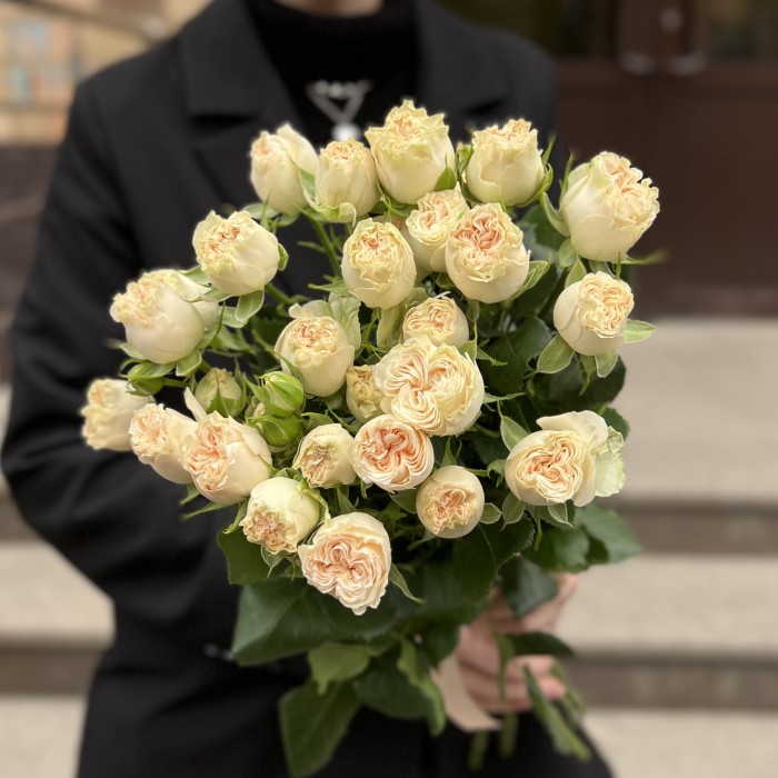 5 Кустовых пионовидных роз Саммер-роз 50 см