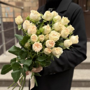 5 кустовых пионовидных Саммер-роз 60 см