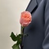Кораллово-розовая роза Суперстейшн 50 см