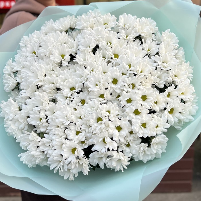 25 белых кустовых хризантем Бакарди
