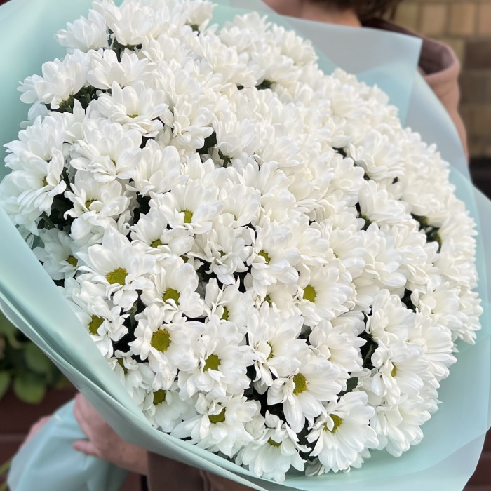 25 белых кустовых хризантем Бакарди