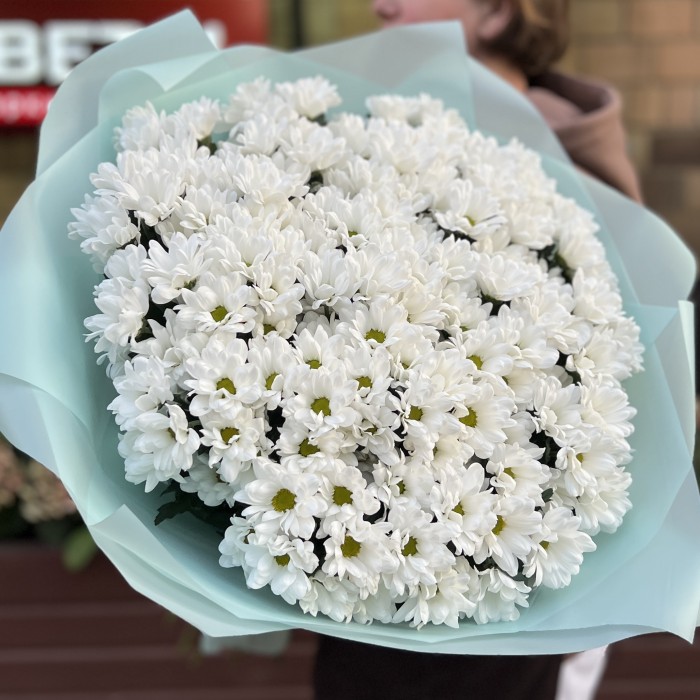 25 белых кустовых хризантем Бакарди