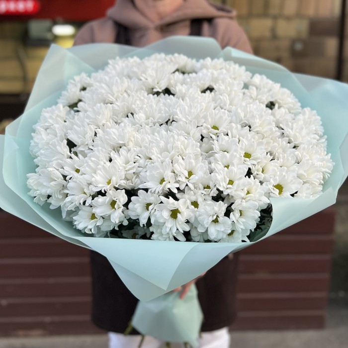 25 белых кустовых хризантем Бакарди