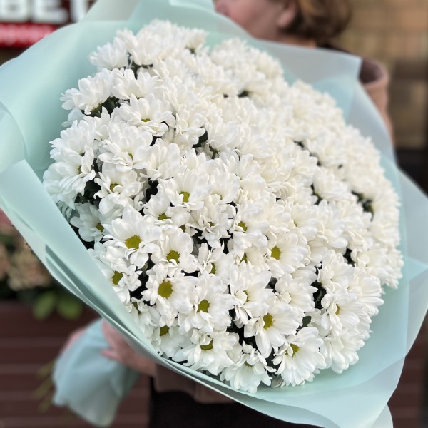 25 белых кустовых хризантем Бакарди