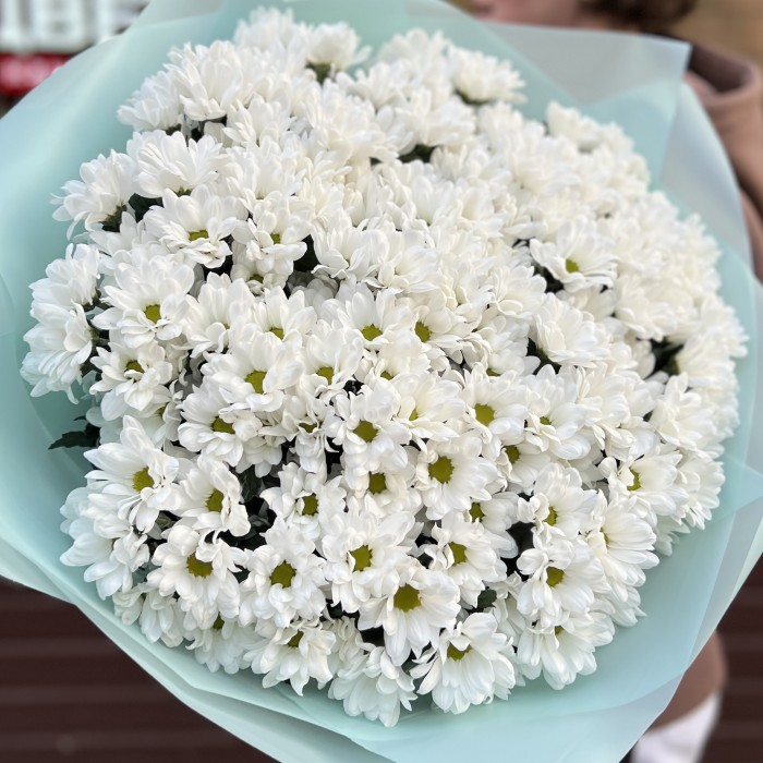 25 белых кустовых хризантем Бакарди