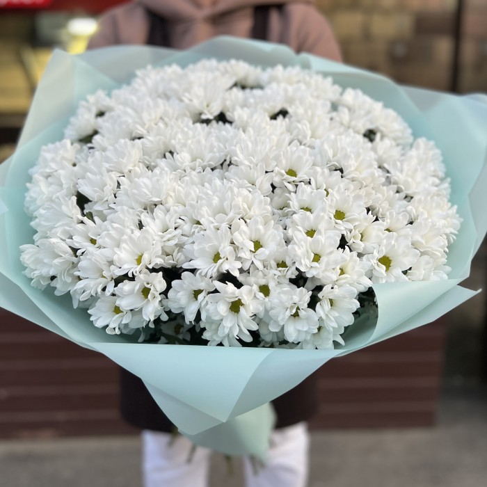 25 белых кустовых хризантем Бакарди