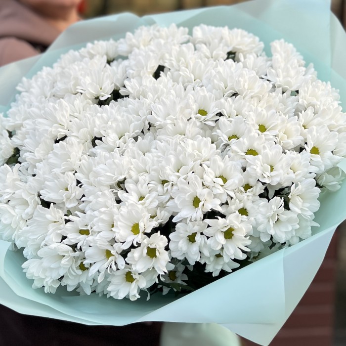 25 белых кустовых хризантем Бакарди
