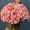 101 кустовая розовая Роза Бердс Нест 50 см
