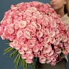 101 кустовая розовая Роза Бердс Нест 50 см