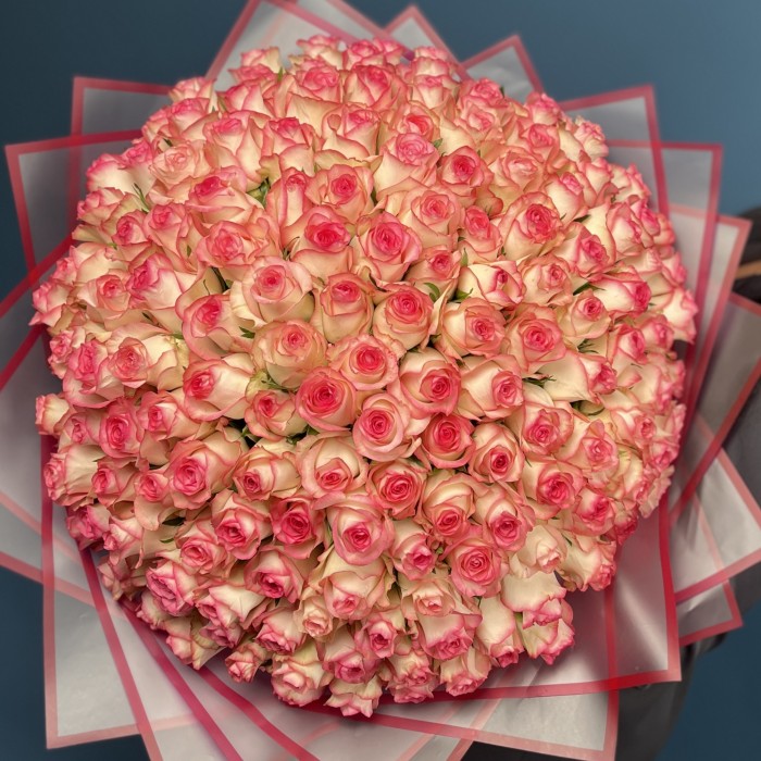 151 светло-розовая роза Джумилия 40 см