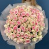 51 кустовая роза Гуд Муд 50 см