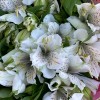 Букет нежных альстромерий