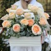 17 кремовых пионовидных роз Гравити в ящике