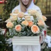 17 кремовых пионовидных роз Гравити в ящике