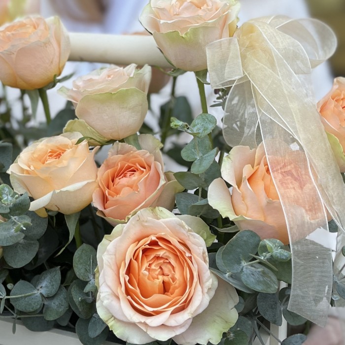 17 кремовых пионовидных роз Гравити в ящике