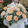 17 кремовых пионовидных роз Гравити в ящике