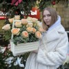 17 кремовых пионовидных роз Гравити в ящике