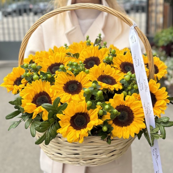 17 подсолнухов с гиперикумом в корзине