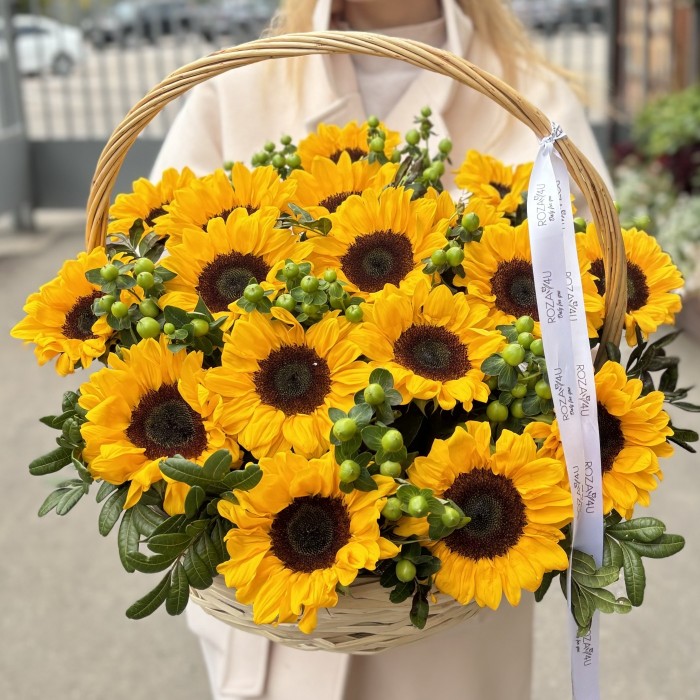 17 подсолнухов с гиперикумом в корзине