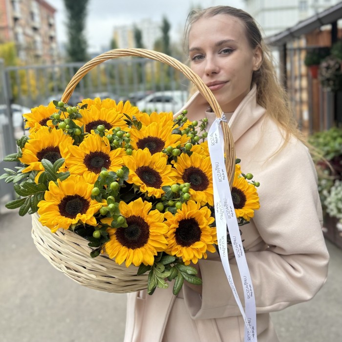 17 подсолнухов с гиперикумом в корзине
