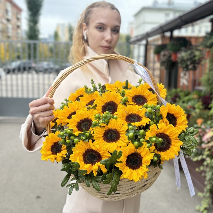 17 подсолнухов с гиперикумом в корзине