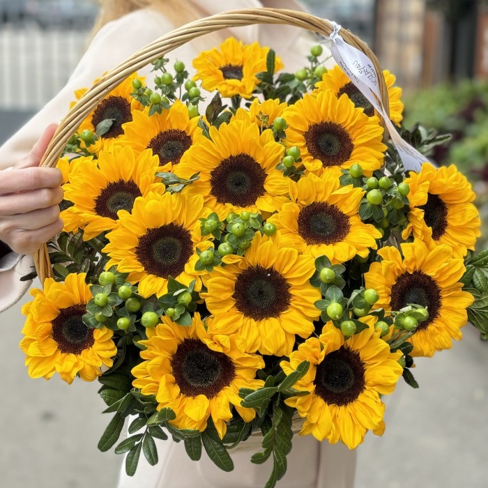 17 подсолнухов с гиперикумом в корзине