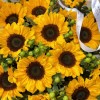 17 подсолнухов с гиперикумом в корзине